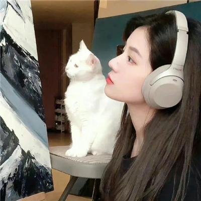 风流家族粤语